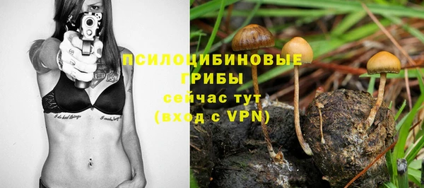 дмт Армянск