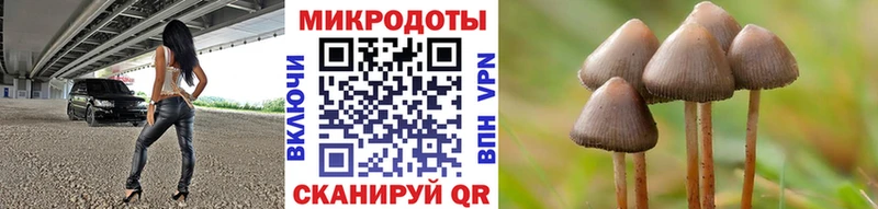 Галлюциногенные грибы GOLDEN TEACHER закладка Суворов